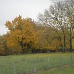 Maison Ancienne Restauree Avec Cheminee, Jardin Prive Et Animaux Admis - Fr-1-616-388 Ferienhaus *