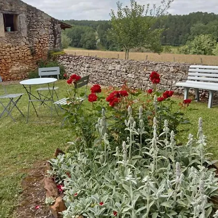 Maison Perigourdine Avec Jardin Prive, Cheminee, Animaux Acceptes - Fr-1-616-388 別荘 *