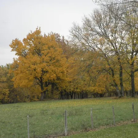 Maison Perigourdine Avec Jardin Prive, Cheminee, Animaux Acceptes - Fr-1-616-388 別荘 *